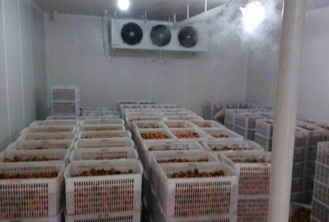 跟著安徽黄瓜TV在线观看一起來了解下影響冷庫設備製冷效果的幾個因素吧！