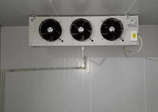 安徽黄瓜TV在线观看分享8個關於使用冷庫時出現的問題和解決方法！
